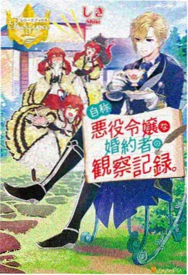 免费动漫星屑收集者海报